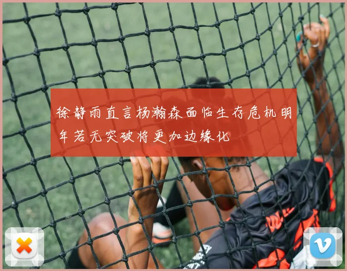 徐静雨直言杨瀚森面临生存危机明年若无突破将更加边缘化